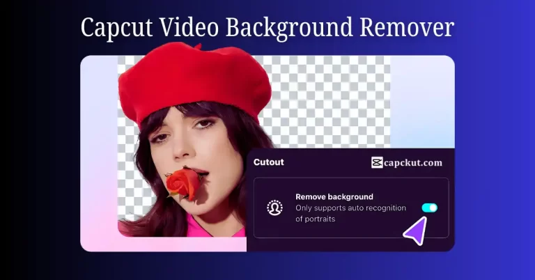Video Background Remover